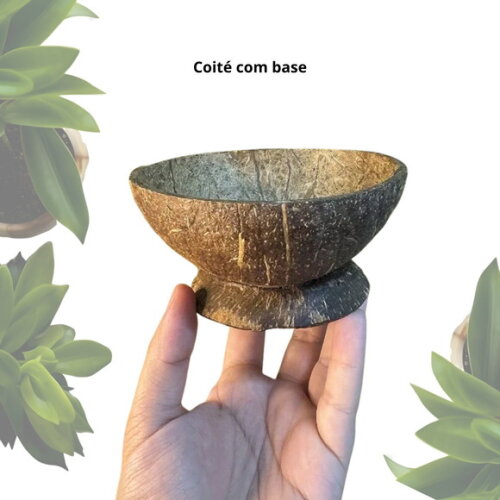 Coité de Coco Natural com Base