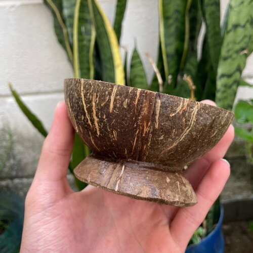 Coité de Coco Natural com Base - Cuia Umbanda | Caboclos
