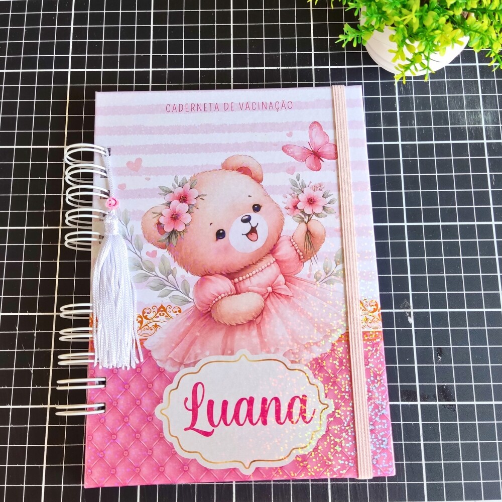 CADERNETA DE SAÚDE VACINA PERSONALIZADA - A5 15X21 ESCOLHA O TEM
