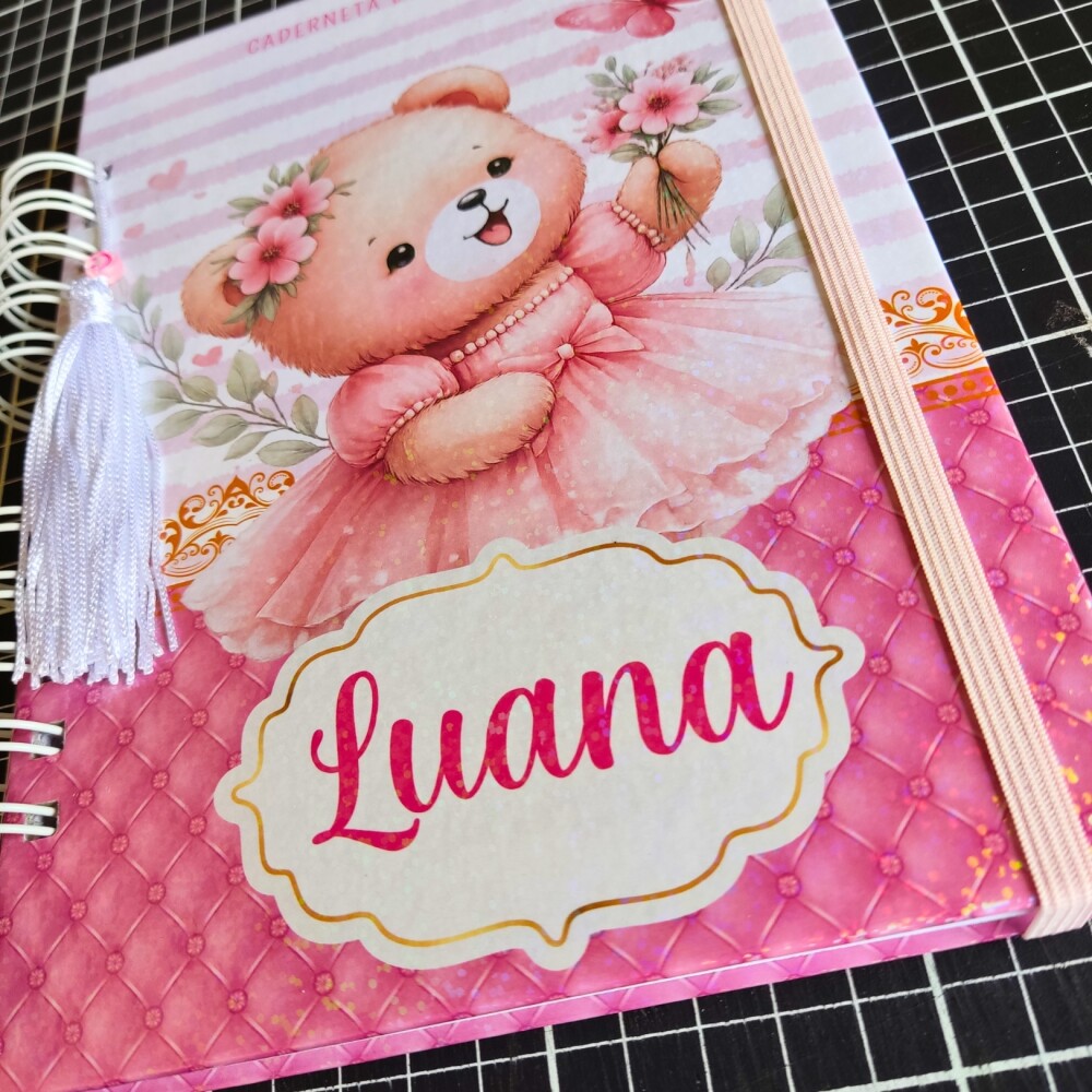 CADERNETA DE SAÚDE VACINA PERSONALIZADA - A5 15X21 ESCOLHA O TEM