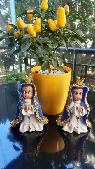 Santinha Biscuit