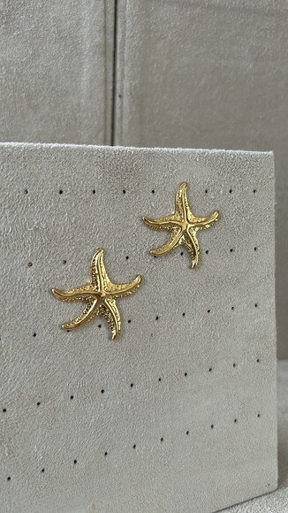Brinco Star Gold
