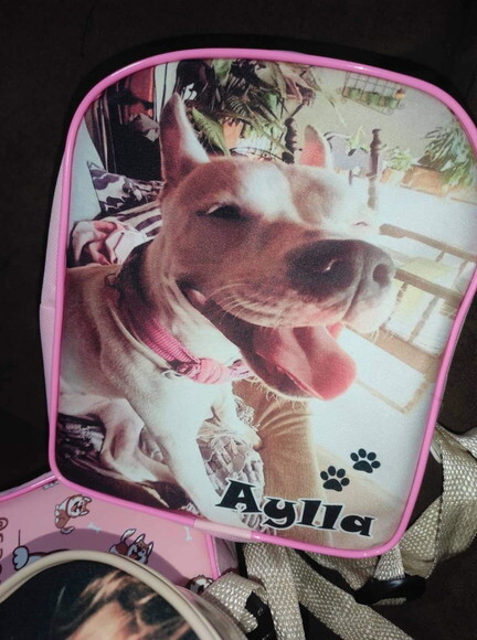 Mochila para Cachorros m