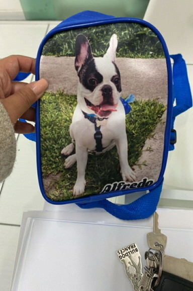 Mochila para Cachorros m