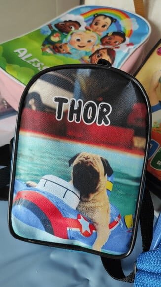 Mochila Para Cachorros Mochila Pet