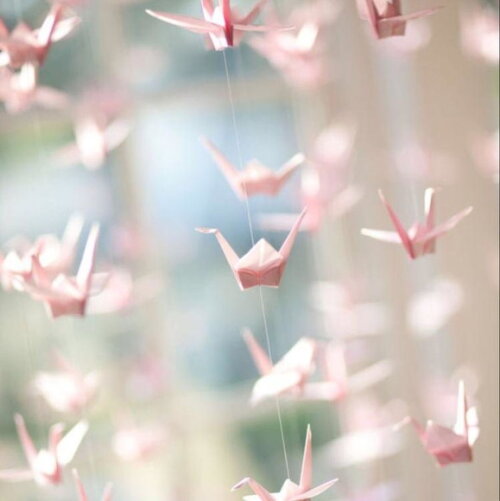 50 Fileiras de Origami Tsurus 2,80 Metros