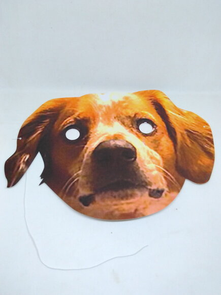Kit 10 Máscara de Papel Personalizada Pet