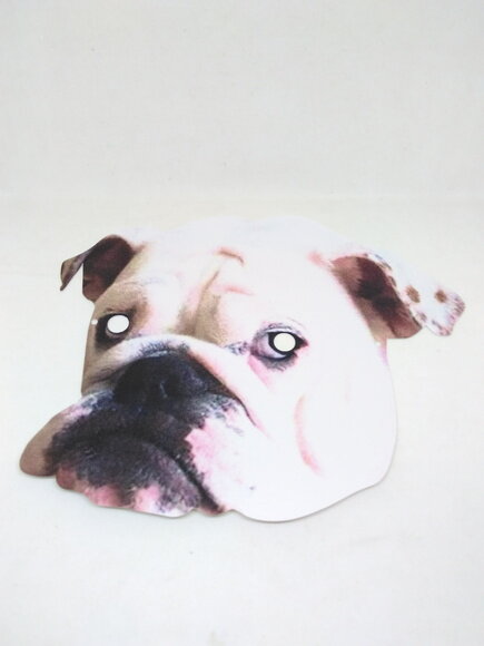 Kit 10 Máscara de Papel Personalizada Pet
