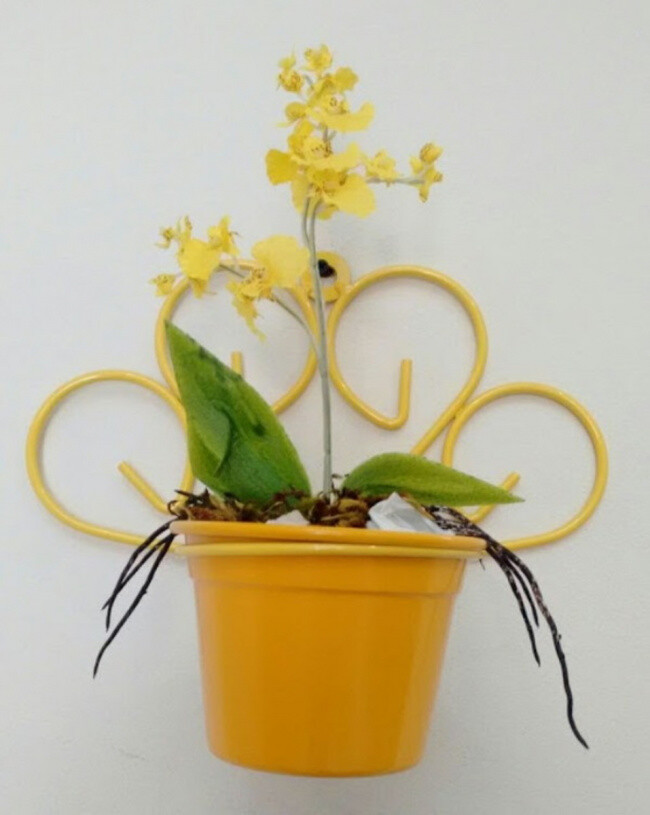 Suporte Para Plantas Coração Meia Lua