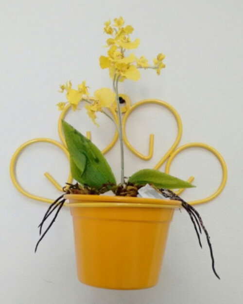 Suporte Para Plantas Coração Meia Lua