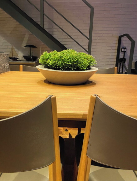 Centro de Mesa / Terrário / Fruteira Redondo de Cimento