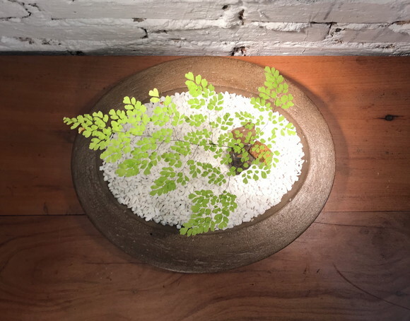 Peça Decorativa Oval-terrário/fruteira com Betume