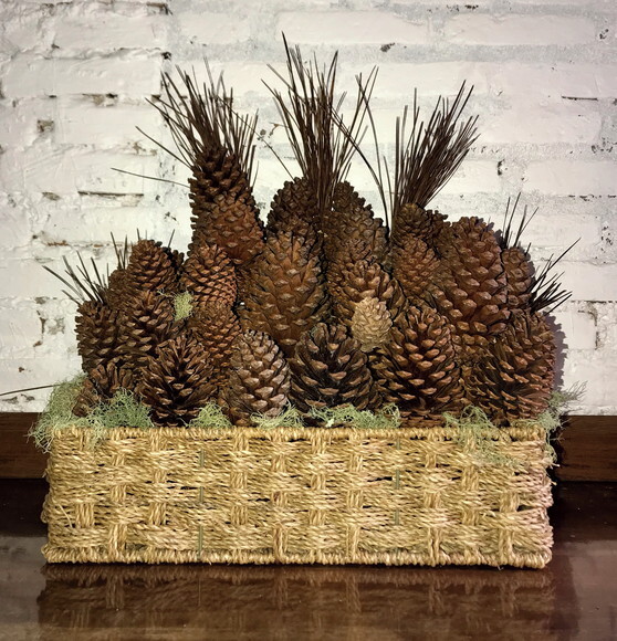 PINHAS NATURAIS - KIT 15 UNIDADES