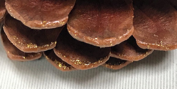 PINHAS NATURAIS COM GLITER DOURADO - KIT 15 UNIDADES