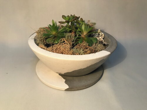 Bowl /centro de Mesa / Peça Decorativa / Terrário / Fruteira