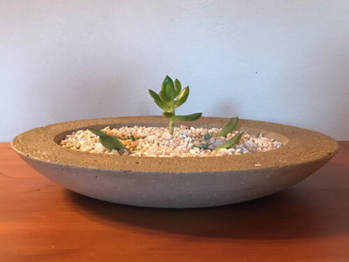 CENTRO DE MESA / PEÇA DECORATIVA / TERRÁRIO / FRUTEIRA