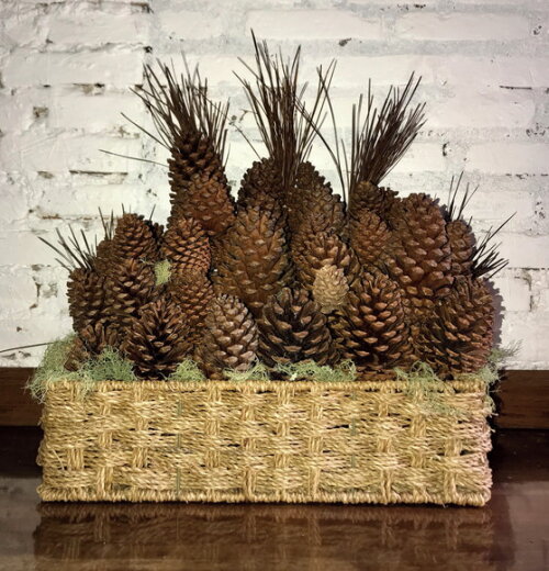 PINHAS NATURAIS - KIT 15 UNIDADES