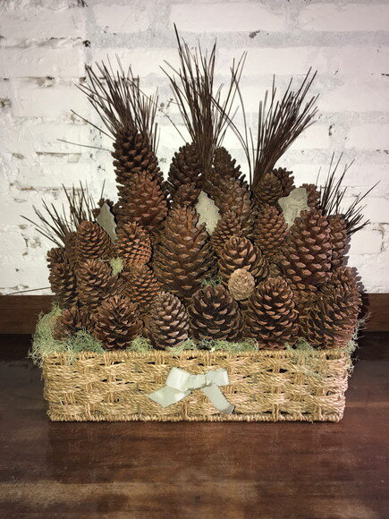 PINHAS NATURAIS - KIT 50 UNIDADES
