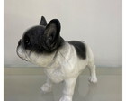 Escultura Buldogue Francês