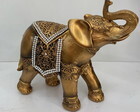 Elefante Indiano Ottis