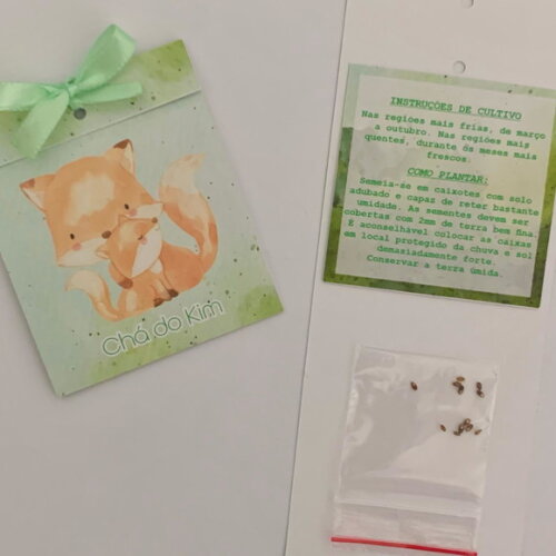 Lembrança Chá de Bebê Sachê Sementinha Raposinha