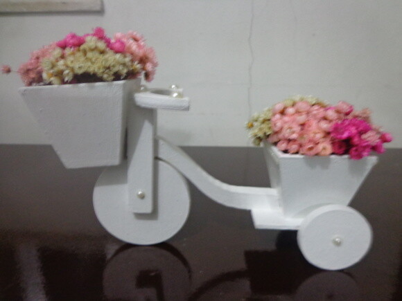 Bicicleta Florida- 75,00