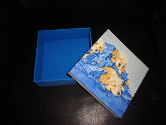 Caixa Love Dogs