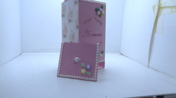 Porta Absorvente Delicado..g
