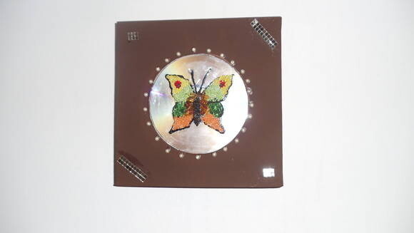 Quadro Borboleta Colorida