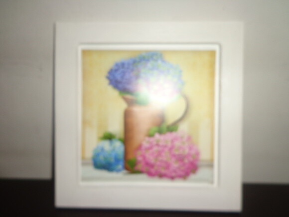 Quadros Decorativos Belos