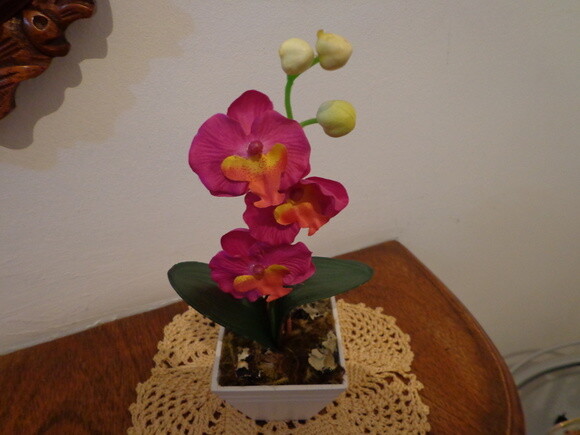 Vaso com Flores -