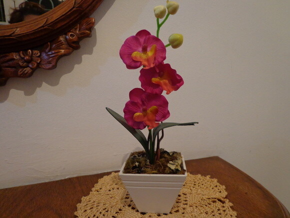 Vaso com Flores -