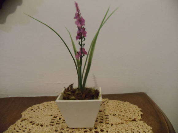 Vaso Flor- Alfazema