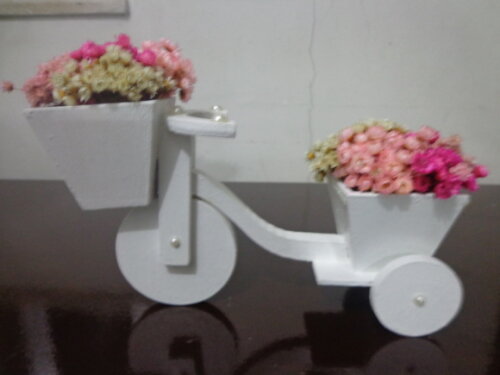 Bicicleta Florida- 75,00