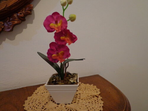 Vaso com Flores -
