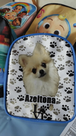Mochila para Cachorros Mochila Pet
