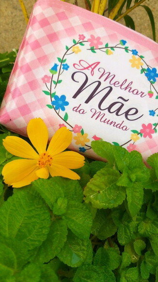 Dia das Mães Promoção 2024 19x12