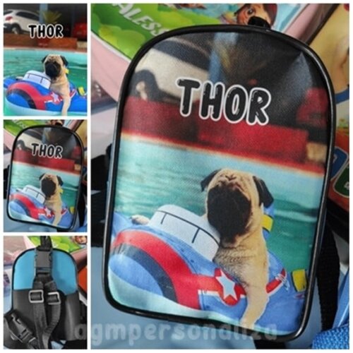 Mochila para Cachorros Mochila Pet