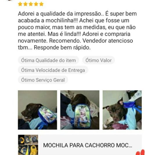 Mochila Peitoral G Mochila Pet Dog
