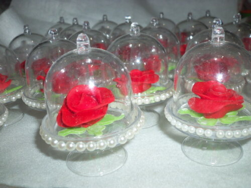 Cupula Princesas.