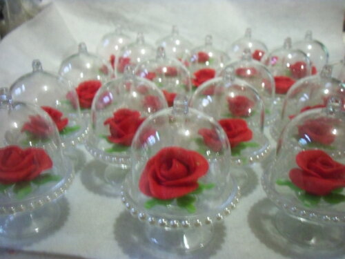 Cupula Princesas.