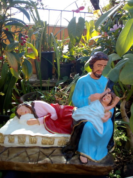 Nossa Senhora dormindo