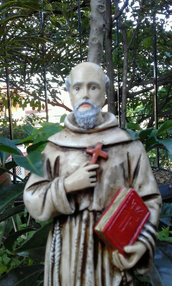 São Pedro de Alcântara 30 cm