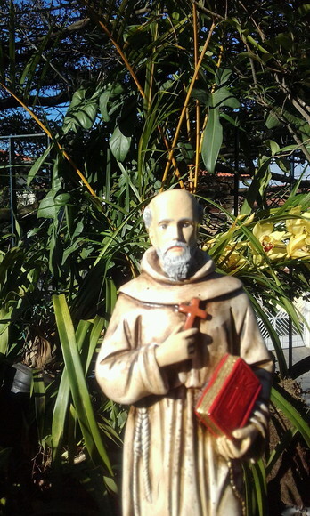 São Pedro de Alcântara 30 cm