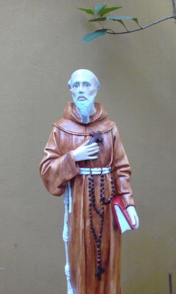 São Pedro de Alcântara 60 cm