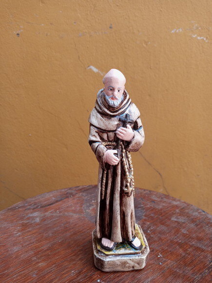 9 unidades de São Pedro de Alcântara 15 cm