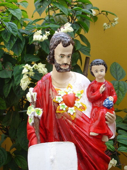 Coração Virginal de São José com lírios