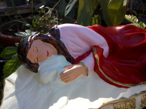 Nossa Senhora dormindo