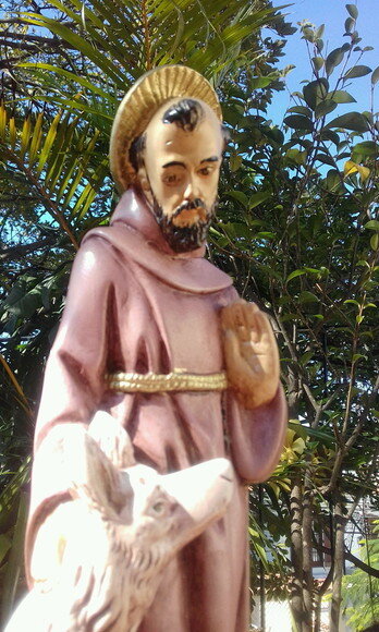 São Francisco com lobo 30 cm