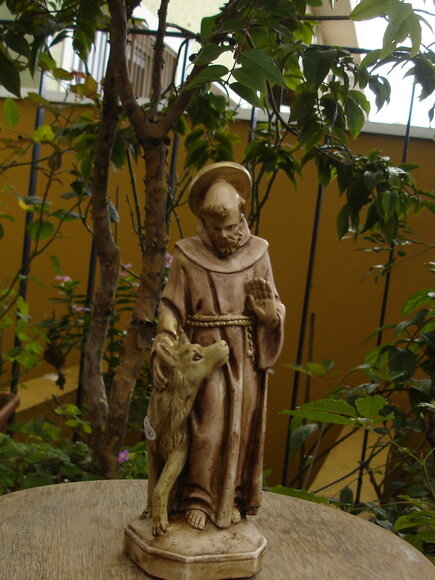São Francisco com lobo 30 cm